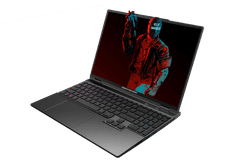 Dream Machines RG4060-15EU44_SL laptop, i7-14650HX, 32GB, SSD1TB, RTX4060, FreeDOS
