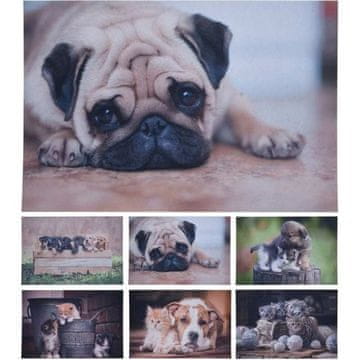 HOMESTYLING Otirač KO-GR1001000buld cleaning 58X38cm Bulldog