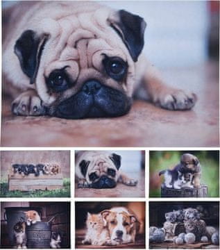 HOMESTYLING Otirač KO-GR1001000 mačka za čišćenje 58X38cm tri mačića