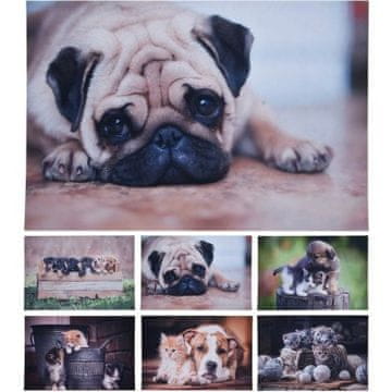 HOMESTYLING Otirač KO-GR1001000peko sredstvo za čišćenje 58X38cm pas i mačić