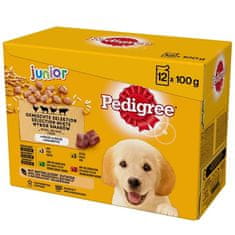 Pedigree PEDIGREE Junior Selection Mix - Mokra hrana za pse - 12x100 g