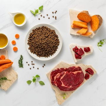 VetExpert VEE Raw Paleo Ultra Mini Puppy Govedina - hrana za štence malih pasmina - 2 kg