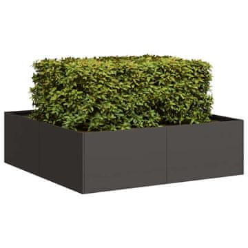 Vidaxl Tegla za cvijeće Crna 100x100x30 cm Čelik