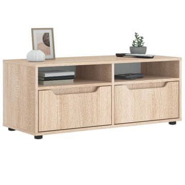 Vidaxl TV ormarić "VISNES" Sonoma hrast 100x40x38 cm Lijepljeno drvo