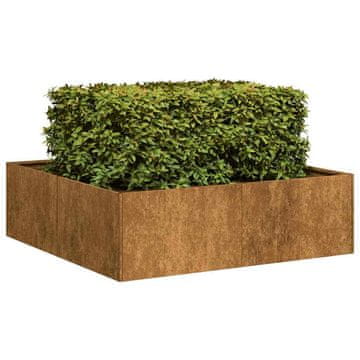 Vidaxl Hrđava tegla za cvijeće 100x100x30 cm nehrđajući čelik