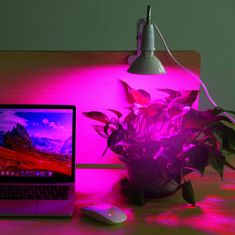 MG Clip Plant Light LED biljna svjetiljka 20W, bijela