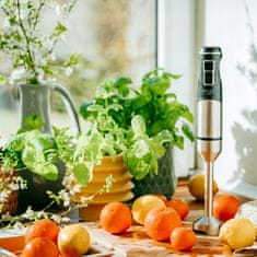 Adler Inox stapni mikser i blender 1500W TURBO funkcija