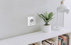 Avatto Smart Wifi Wall Outlet 16A Tuya White Alexa Google Assistant
