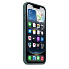 Apple maska za iPhone 16e, Silicone Case Lake Green (md3x4zm/a)