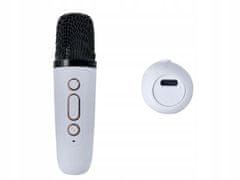 Verkgroup Bežični Bluetooth 5.3 LCD karaoke zvučnik 2x mikrofon LED RGB FM
