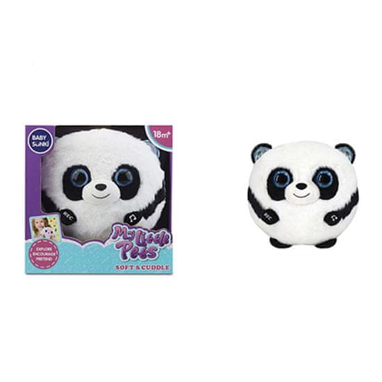 Denis Star Pet, plišana Panda, snima, svira, svijetli