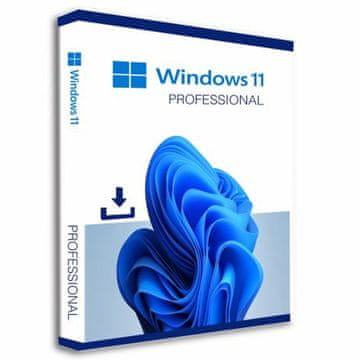 Microsoft Windows 11 Professional 64bit DSP engleski