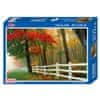Denis Puzzle / Slagalica Šuma u jesen 1000 kom