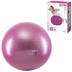 Denis Gimnastička lopta Gym Soft 55 cm