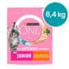 Purina ONE ONE Bifensis Junior s piletinom i cjelovitim žitaricama, 8x800 g
