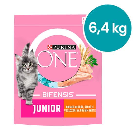 Purina ONE ONE Bifensis Junior s piletinom i cjelovitim žitaricama, 8x800 g