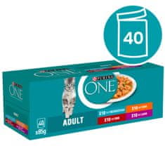 ONE mačja hrana, 40x85 g