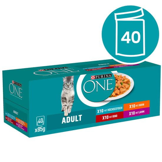 Purina ONE ONE mačja hrana, 40x85 g