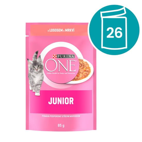 Purina ONE JUNIOR Losos u soku 26×85 g