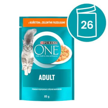Purina ONE ONE Adult vrećice za mačke, mini fileti s piletinom i zelenim grahom u soku, 26x 85 g