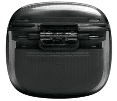 JBL Tune Flex 2 Ghost slušalice, bežične, crne (JBLTFLEX2GBLK)