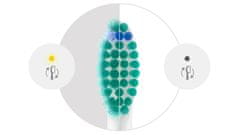 Philips Sonicare zamjenske glave ProResults HX6018/87 8 kom