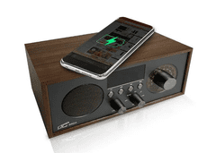 LTC Radio Analog BRDA 511BC, FM, BT, USB, 10W, 2200Mah