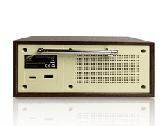 LTC Radio Analog BRDA 511BC, FM, BT, USB, 10W, 2200Mah