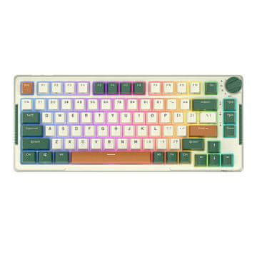 Royal Kludge Bežična mehanička tipkovnica Royal Kludge RKH81 RGB, Sky cijan prekidač (zelena)