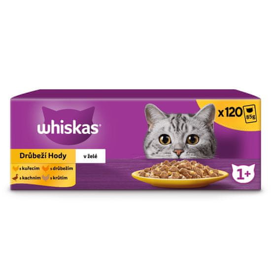 Whiskas Whiskas pouches selekcija peradi u želeu za odrasle mačke 120 x 85 g