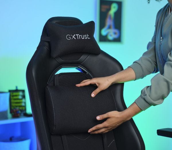 Ledvena in vratna opora