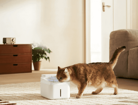  Xiaomi Smart Pet 2 vodna fontana, bela 