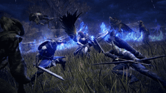 Namco Bandai Games Elden Ring Nightreign - Collectors Edition igra (PC)