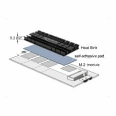 Delock pasivni hladnjak za M.2 NVMe SSD 70 mm ravni crni 18285