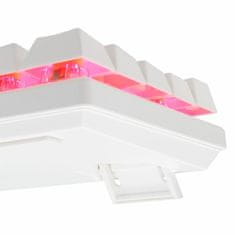 Baracuda USB tipkovnica bijelo/crvena mehanička tipka za igranje BGK-03211 DOLPHI
