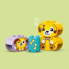 LEGO DUPLO 10441 Prepoznavanje oblika: kućica za psiće