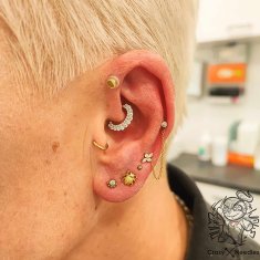Titanski labret naušnica žuk zlatni piercing helix conch lobe 1,2/6