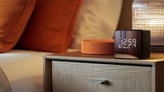 Philips Radio sat TAR4600, DAB+