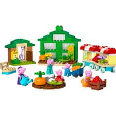 LEGO DUPLO 10461 Djedov vrt i staklenik