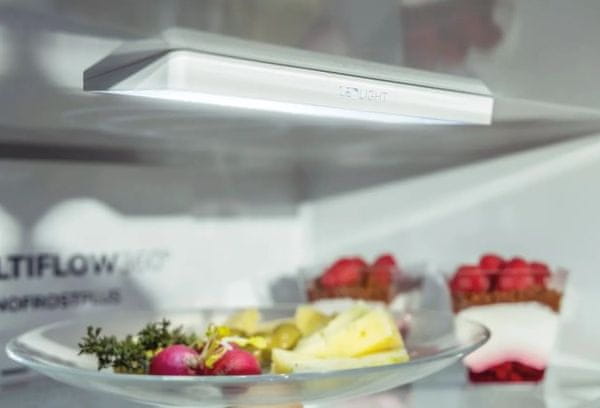 Gorenje N61EA2W4 kombinirani hladilnik