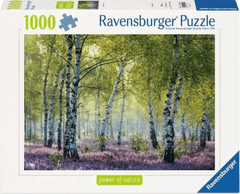 Ravensburger slagalica, Brezova šuma, 1000/1