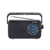 Blaupunkt prijenosni radio PR9BK