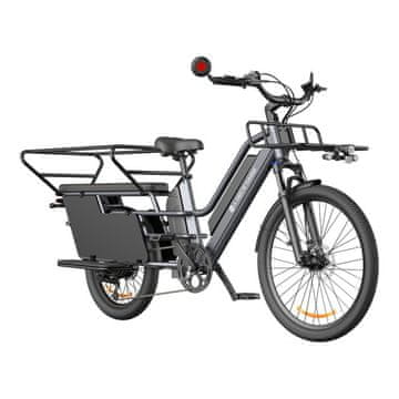 A DECE OASIS 261T električni bicikl, teretni, 250 W, IPS zaslon