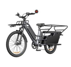 A DECE OASIS 261T električni bicikl, teretni, 250 W, IPS zaslon