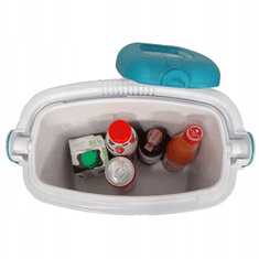 Iceberg ICEBRG 8L torba za hlađenje, tvrda, tirkizna, hladnjaka 2x200g