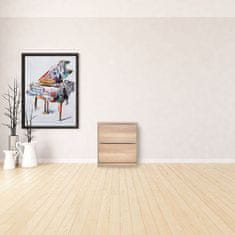 Woody Fashion Ormarić za cipele, SHC-520-TT-1