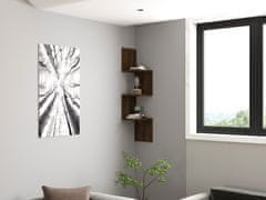 Woody Fashion Zidna polica, Zikzak - Walnut