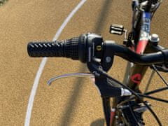 Dino bikes Junior Bike 20 "crno