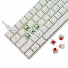 White Shark USB tipkovnica bijelo/crvene mehaničke tipke SHINOBI-2-W