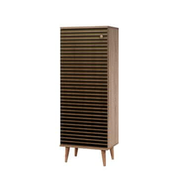 Woody Fashion Ormarić za cipele, Sonoma hrast, FİLİNTA-220